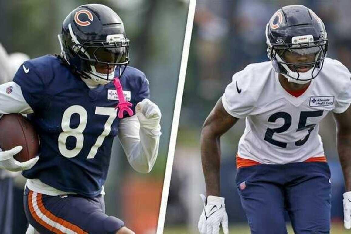 8 Bears players to watch in preseason opener