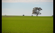  Farmland values increased by 20pc in 2022. Photo Mark Saunders. 