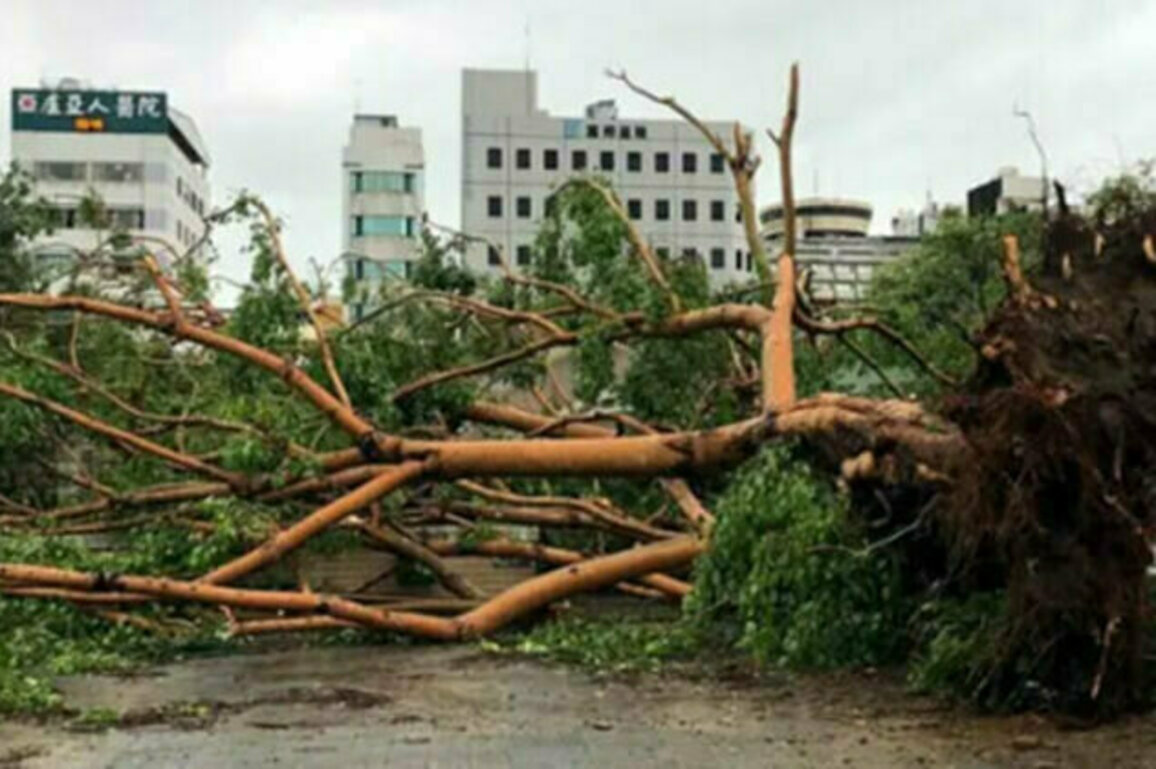 Heavy rains in Taiwan leave four dead and dozens injured