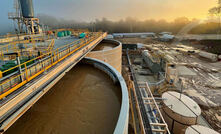 Emerald's treasury still growing after 'mixed' year 