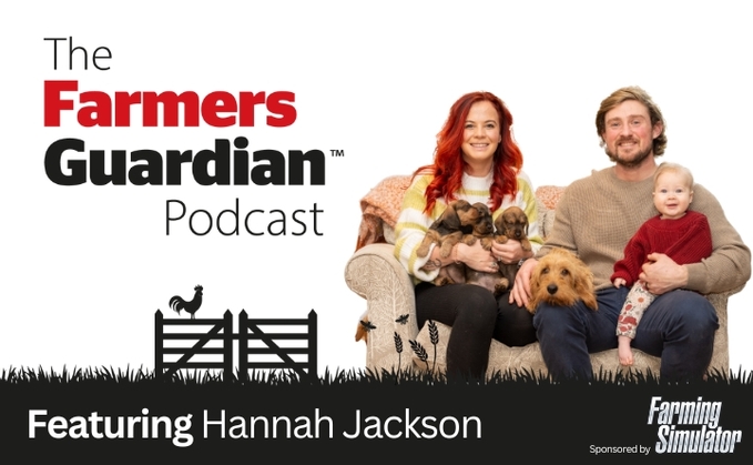 Farmers Guardian podcast: Christmas with the Red Shepherdess - growing family and growing farm