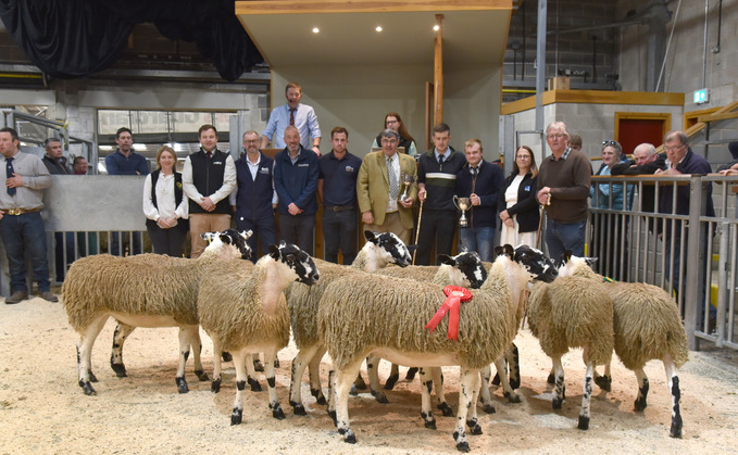 The champion pen of 10 from the Walker family, Dunsop Bridge, which sold for £320/head.