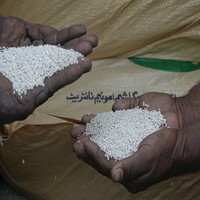Pakistan: Farmers to launch nationwide protest against corporate farming on April 13