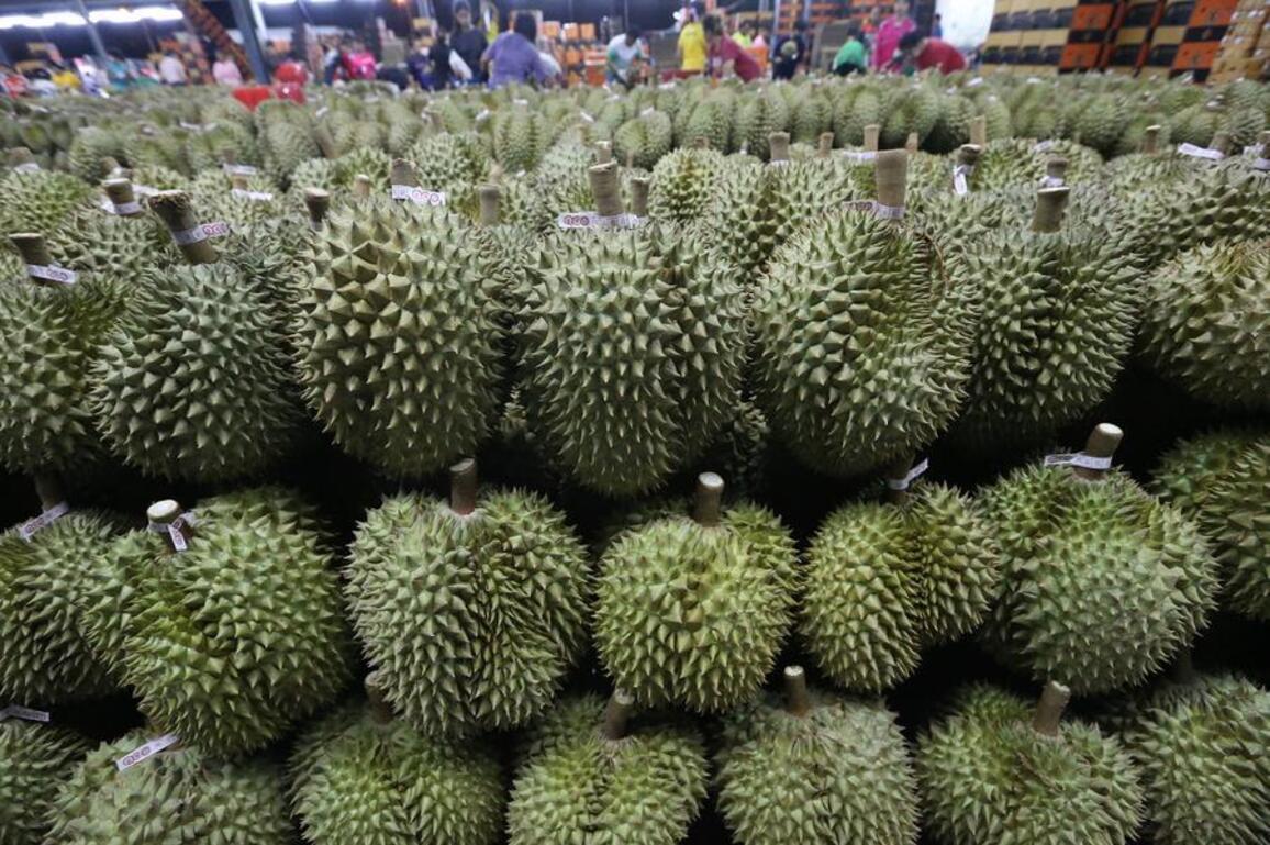 China-Laos Railway drives tropical fruit boom as durian shipments from Southeast Asia hit peak season