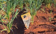 The 'right' N fertiliser decision maximises profit - but making the right decision can be difficult.