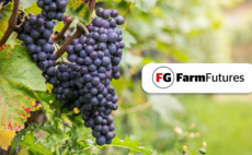 Week 14 - NFU's dairy intentions survey, Farming Community Network, UK Viticulture  