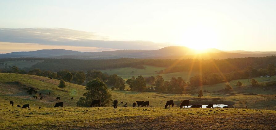 Peak farming bodies have reiterated fears farmers may have to sell farmland to pay tax bills if proposed changes to superannuation are passed in the Senate. 