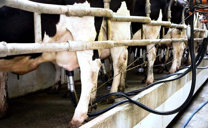 May milk prices see unprecedented rise but 50ppl may soon be needed