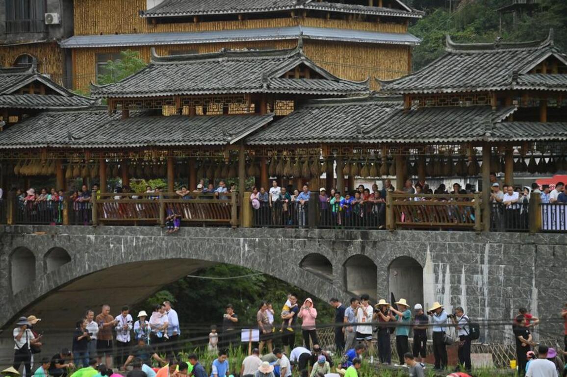 EnchantingGuangxi | Time-honored bridges still connect daily life to social development in S China's Guangxi