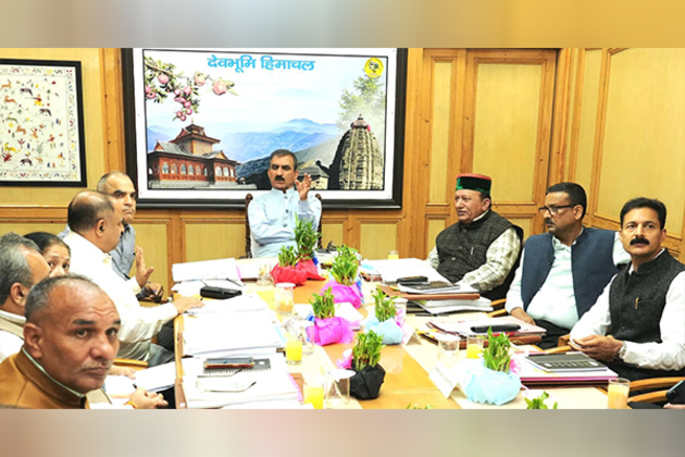 "Explore possibility of setting up bamboo processing factory": Himachal CM Sukhu