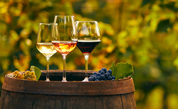The sustainable benefits of investing in fine wine