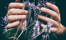 Higher returns for ESG investors over past five years, analysis finds