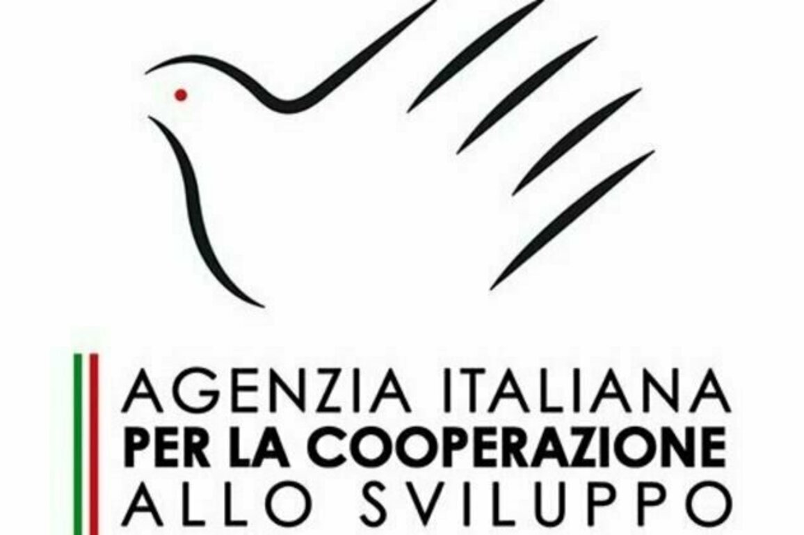Italy supports health response in Syria with EUR 3 million