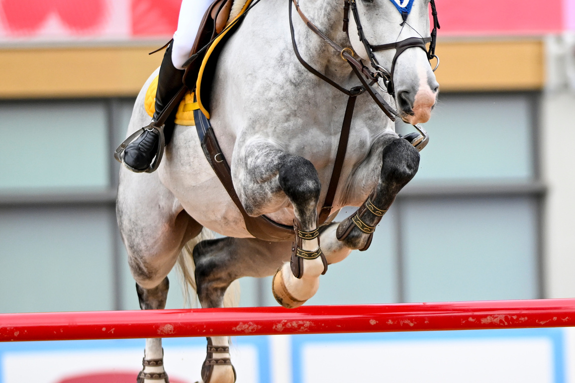 (SP)CHINA-15TH NATIONAL GAMES-EQUESTRIAN-JUMPING-INDIVIDUAL(CN)