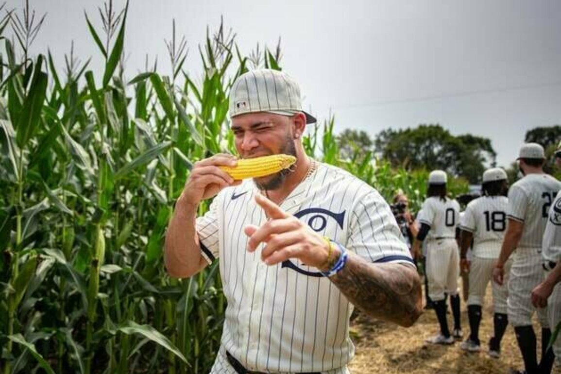 Reports: 'Field of Dreams' game to return in 2026