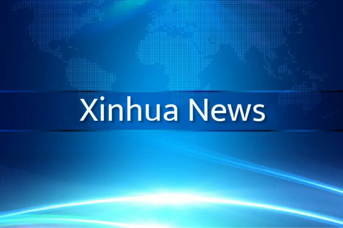 Update: Chinese FM calls for supporting Africa in exploring new development path of self-reliance, self-strengthening