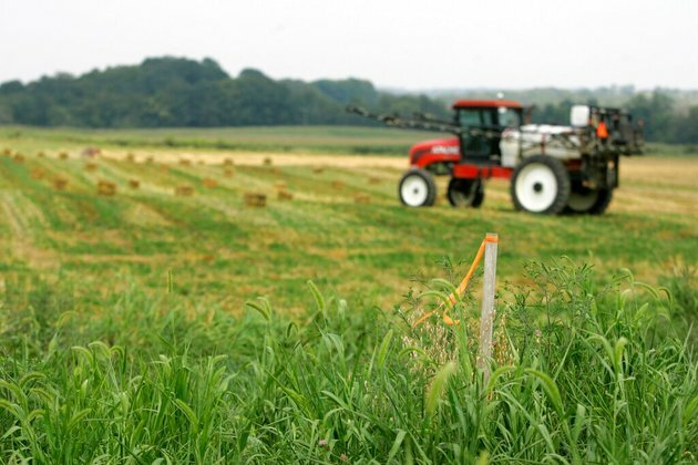 Lawmakers Seek to Curb Chinese Ownership of US Farmland