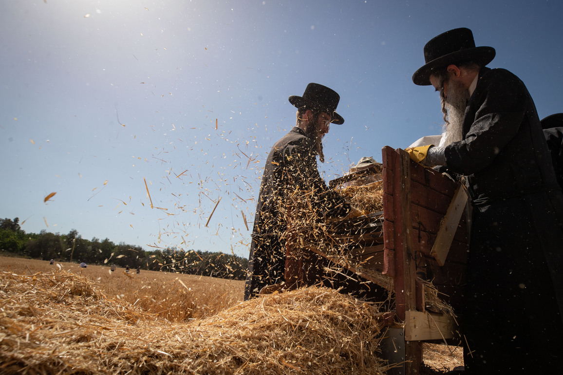 MIDEAST-JERUSALEM-SHAVUOT-WHEAT HARVEST