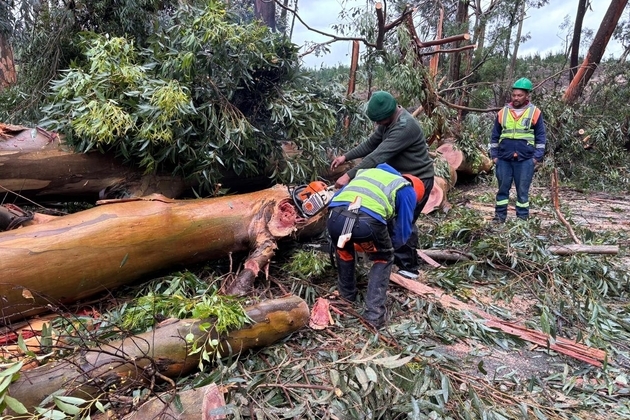 SOUTH AFRICA-GARDEN ROUTE-FLOODING