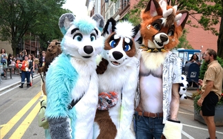 'Gay furry hackers' breach conservative US think tank behind Project 2025