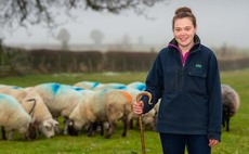 Young shearer sets up craft business to help fund farming dream