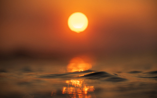 Global ocean temperatures hit hottest on record for July