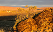 Pictured: the topography of Leigh Creek's project acreage