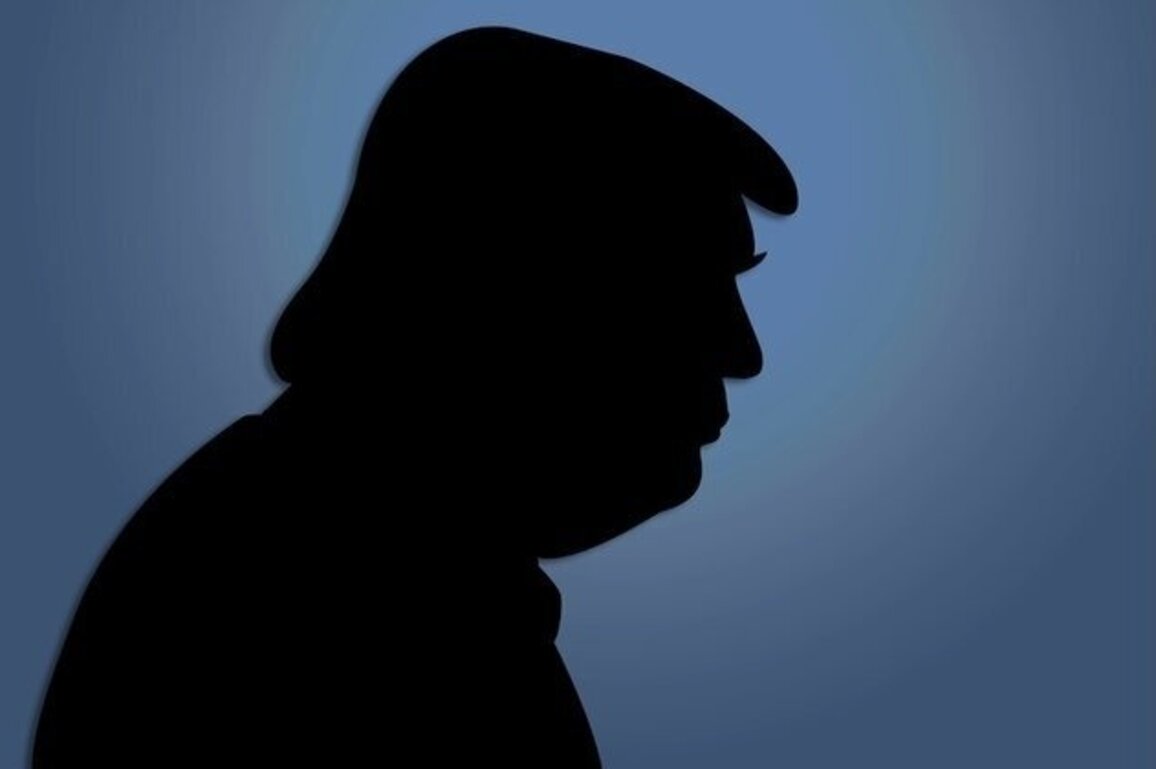 Opinion The Poverty of Rational Trumpism