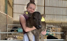 Young farmer focus: Rebecca Vining - 'My journey into farming was not the most conventional'