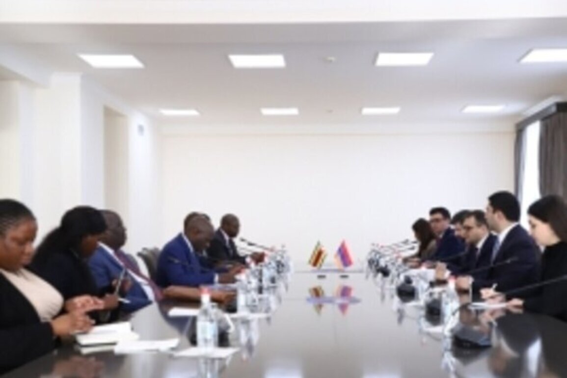 Armenia, Zimbabwe hold first political consultations