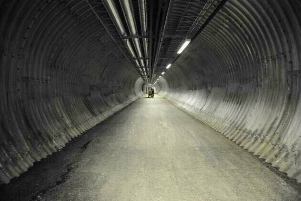 New seeds deposited in Norway's Svalbard Global Seed Vault
