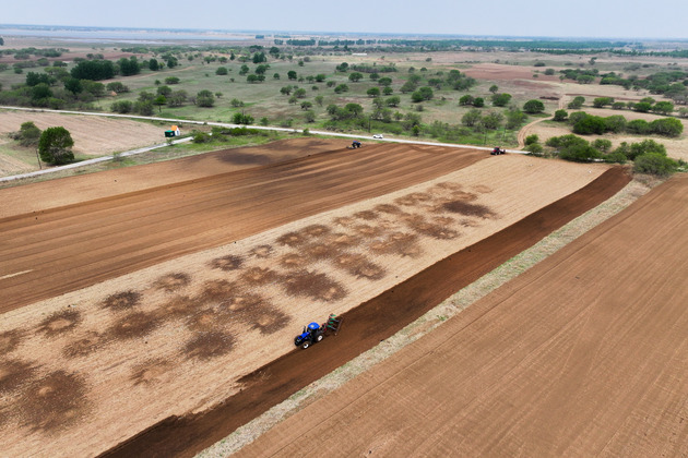 CHINA-INNER MONGOLIA-TONGLIAO-CORN-SPRING SOWING (CN)