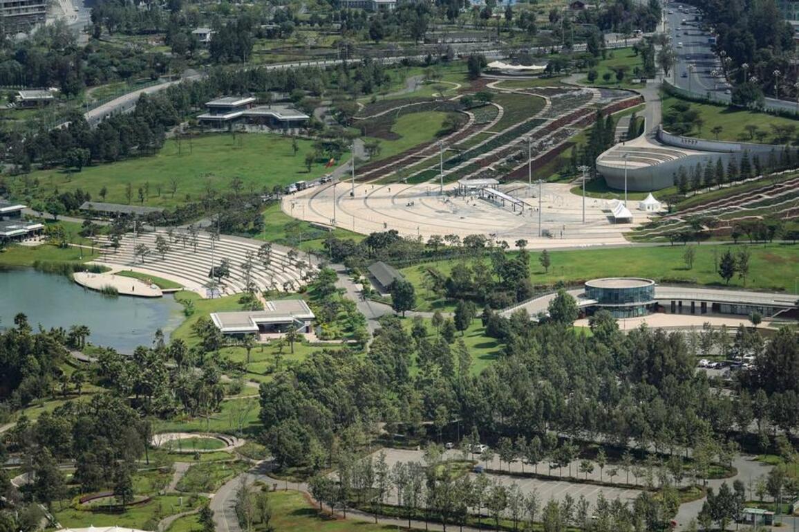 Ethiopia's Green Legacy Initiative drives broader climate action