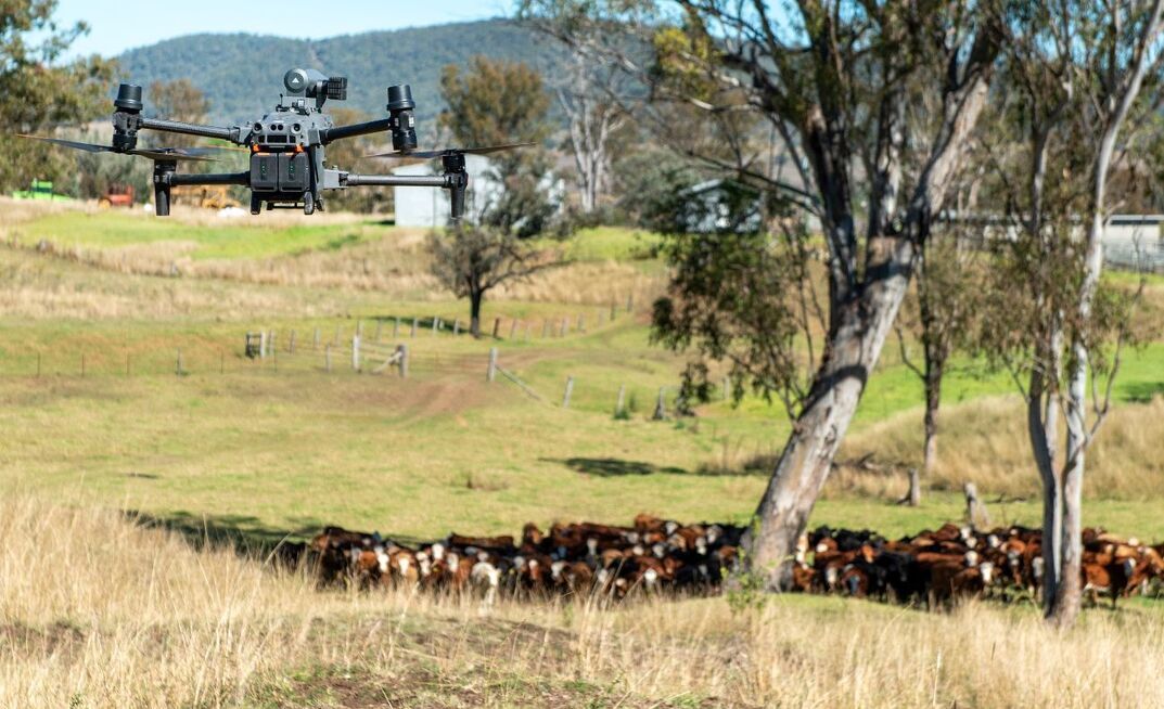 SkyKelpie has helped pioneer the adoption of drone mustering across Australia.