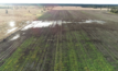  Zena Ronnfeldt's farmland UAV photo - credits to EOS Data Analytics