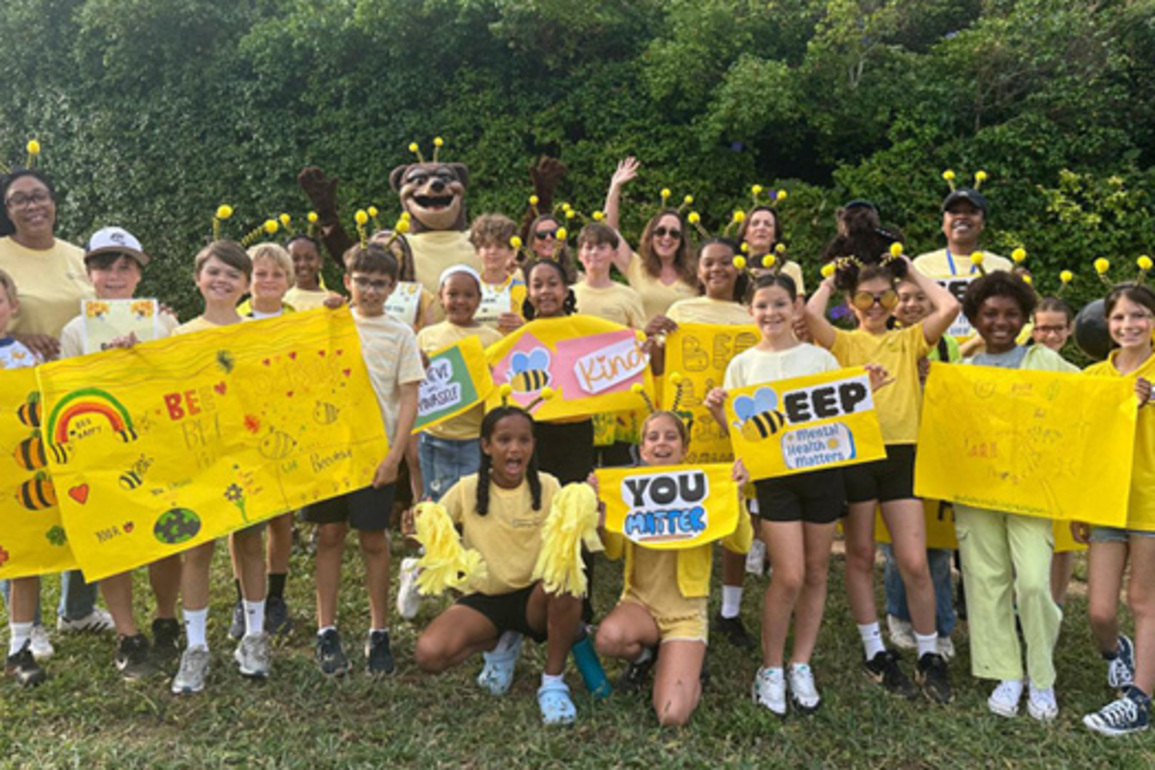 Photos, Video- WellBEEing Mental Health Drive