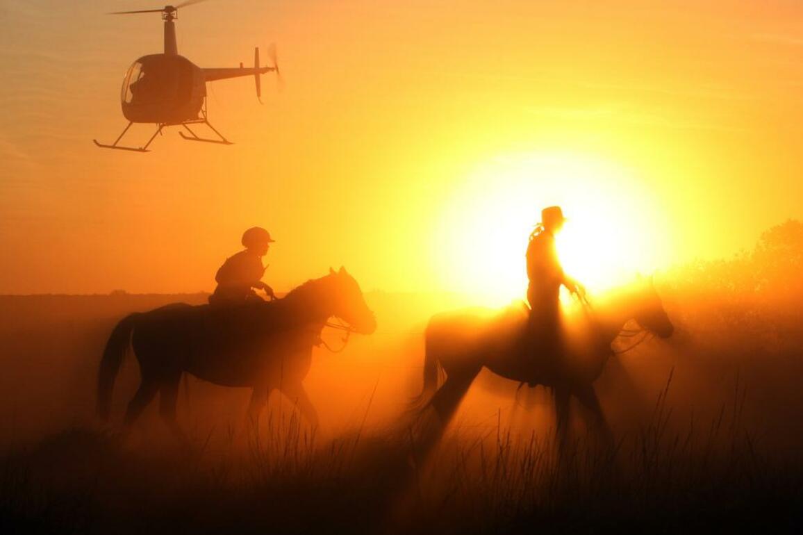 Fortescue reportedly offloading Pilbara, Gascoyne cattle stations