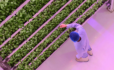 Study: Vertical farming emissions could be offset by solar farm development