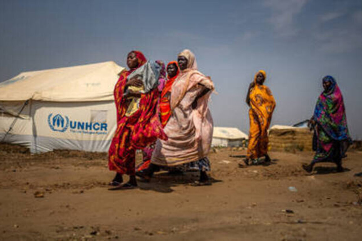 African state grounds four UN aircraft