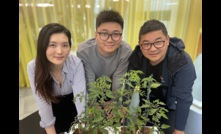  AgTech Seeds program participants Ke Ma, Adam Wang and Jeff Peng.