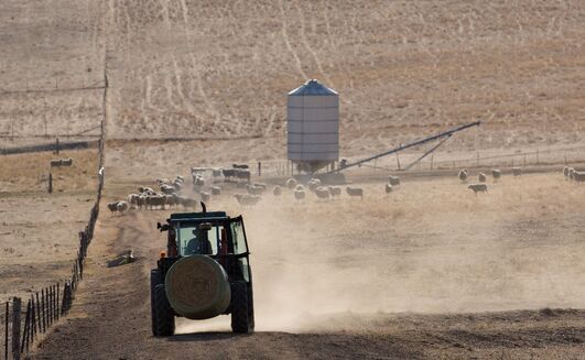 BOM said El Niño often brings drier conditions to central and eastern Australia in winter and spring, but not always. 