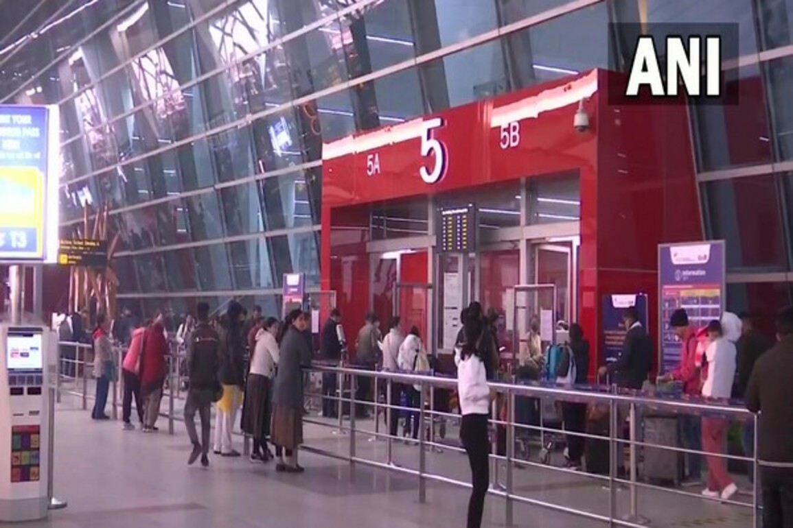 Delhi: Customs intercepts exotic wildlife smuggling at IGI Airport