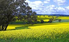 Price support for fertiliser importers will help ensure growers have access to critical inputs this season. 