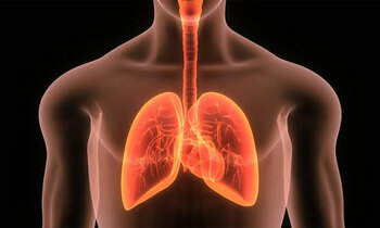 Lungsinsert 350x210