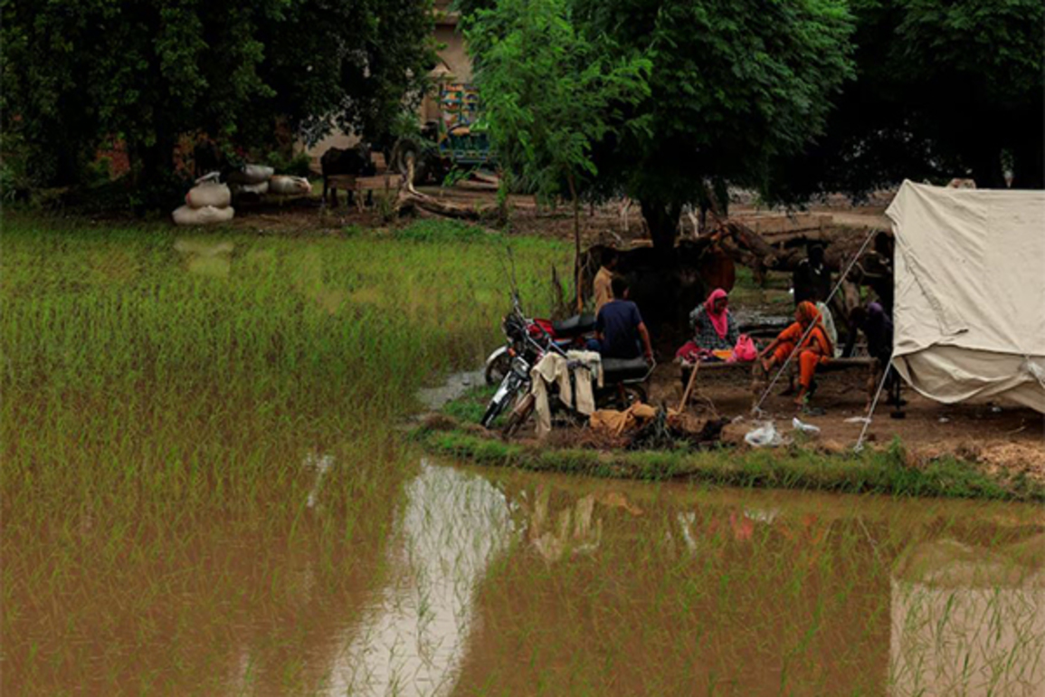Pak Defence Min advises against blaming 'divine will' for deluge destruction
