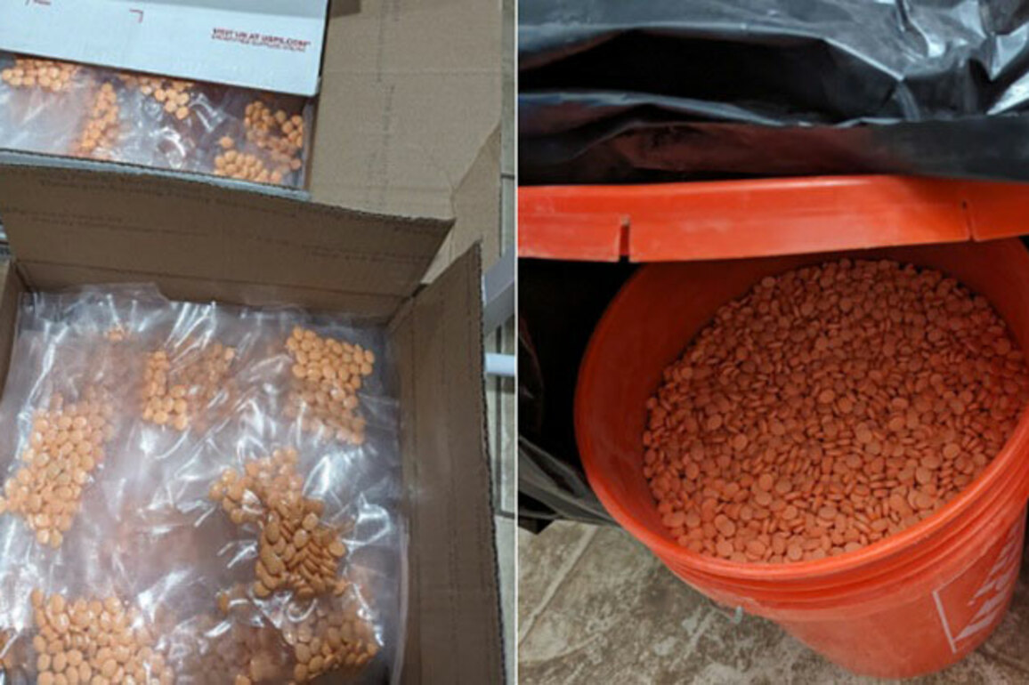 Global Operation Targets Darknet Trafficking, Seizes Drugs &amp; Crypto