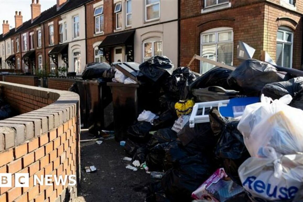 Birmingham bin strike latest- Army experts called in to help