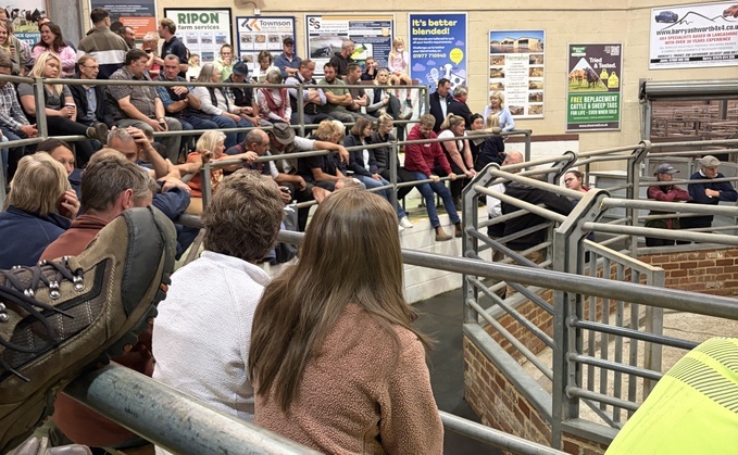 Vaccination urged as Bluetongue spread further than official maps show
