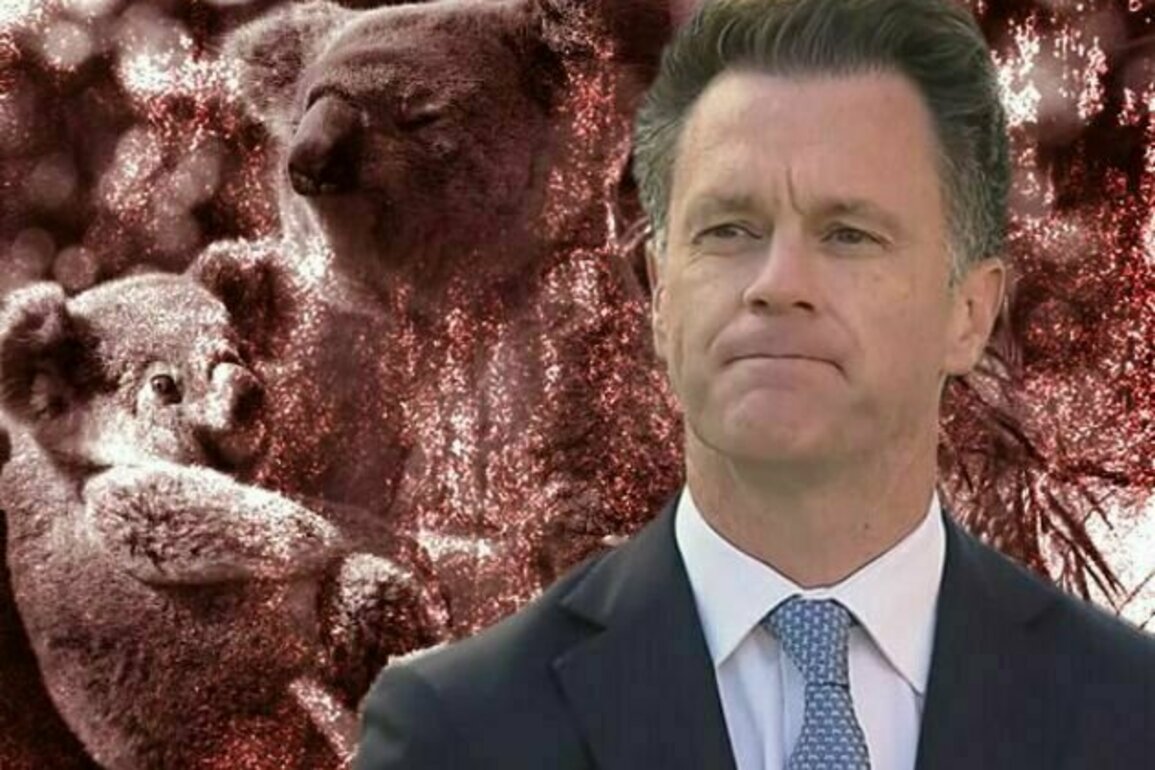 Australias war on nature leading to environmental collapse