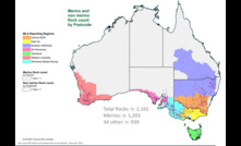  The sheep flock count across Australian continues to grow